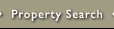 Property Search